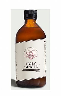 Τονωτικό Μείγμα Ginger, Λεμόνι & Μέλι Aνθεων 210gr HOLY GINGER